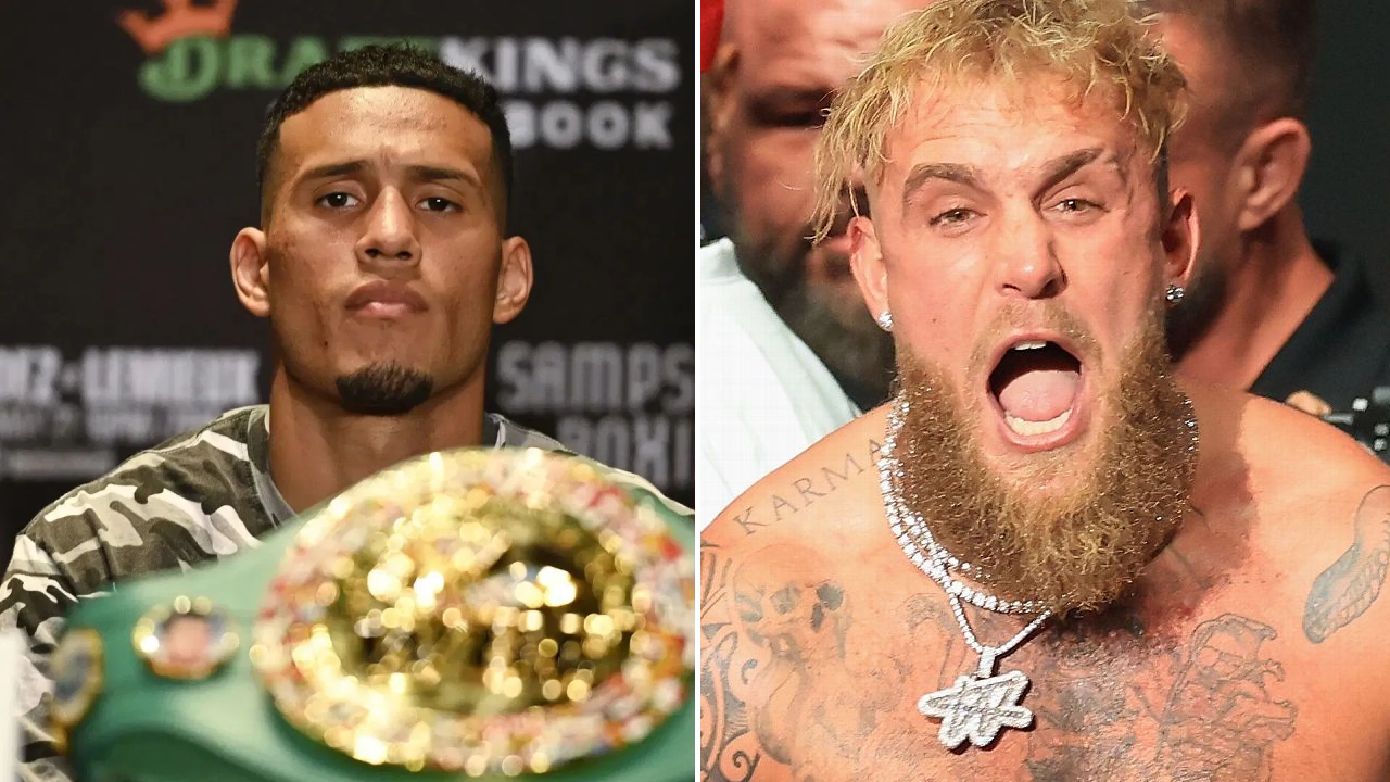 Jake Paul Akui David Benavidez Masuk Daftar Petinju Yang Tak Akan Ia Lawan