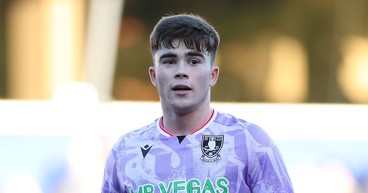 Harry Amass Diyakini Akan Kembali ke Sheffield Wednesday - sumber: (manchestereveningnews)
