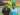 Tiga Ganda Campuran Lolos Semifinal Thailand International Challenge 2024