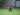 Absen Satu Musim, Gunawan Dwi Cahyo Siap Kembali Jadi Benteng Bali United