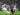 Agen Timothy Weah Ancam Juventus, Bakal Tolak Tawaran ke Premier League