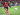 Amine Adli Optimis Bayer Leverkusen Mampu Raih Trofi di Musim 2024/25