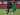 Andik dan Adam Alis Jadi Amunisi Tambahan Bhayangkara FC untuk Bertandang ke Persik