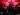 Astralis Tambah Pemain ke Roster CS: GO untuk Bersaing di IEM Katowice
