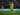 Atletico Madrid Terjun Dalam Perburuan Servis Bintang Norwich City