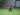 Bantu Tim Medis Covid-19, Pemain Bali United Lelang Barang Pribadi