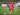 Bayern Munich Berpeluang Lego Choupo-Moting di Bursa Transfer Januari 2024