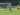Berita Liga 1 Indonesia: Bermain Buruk, Dominasi Persib Dari Borneo Layak Diakhiri