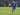 Berita Liga 1 Indonesia: Finishing Touch Buruk, Penyebab Persib Rontok Dari Perseru