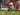 Berita Liga 1 Indonesia: Ini Target Striker Buruan Persib Asal Chad?