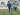 Berita TSC 2016: Rachmad Hidayat Berharap Menit Bermain di Persib