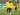 Borussia Dortmund Dapat Kabar Bahagia Jelang Piala Super Jerman 2020