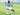 Borussia Dortmund Ingin Datangkan ‘The Next Sancho’ dari Manchester City