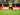 Borussia Dortmund Masih Incar Marcel Halstenberg dari RB Leipzig