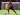 Bournemouth Capai Rekor Poin Premier League, Tyler Adams Angkat Bicara