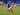 Bungkam Shandong Taishan, Yokohama Marinos ke Semifinal Liga Champions Asia