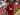 Chelsea Incar Striker Jangkung Charlton Athletic, Miles Leaburn