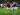 Comeback Setelah 6 Bulan Absen, Alex Moreno Jadi Pahlawan Aston Villa