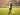 Defender Marine Ungkap Trik Untuk Mengatasi Tottenham di Rosett Park