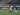Dejan Antonic Syukuri Satu Poin Yang Didapat PSS Sleman Dari PSM Makassar