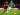Deretan Fakta Menarik Jelang Laga Bournemouth vs Newcastle United