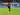 Di Deadline Day, Milan Lepas Chaka Traore dan Marco Pellegrino