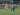 Dihajar Sepuluh Pemain Persela, Persib Merana di Hadapan Bobotoh