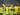 Donyell Malen Bawa Dortmund Raih Kemenangan 1-0 Atas Sturm Graz
