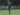 Dua Calon Pelatih Timnas Indonesia Akan Paparkan Program di Malaysia