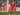 Dua Transfer Besar Liverpool: Mamardashvili Datang, Van den Berg Keluar