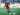 Eintracht Frankfurt Pertimbangkan Boyong Georges Mikautadze Gantikan Muani