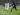 El Chadaille Bitshiabu Dijadwalkan Segera Jalani Tes Medis di RB Leipzig