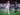 Emil Forsberg Selangkah Lagi Gabung New York Red Bulls di MLS?