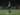 Empat Musim Bersama, Bali United Resmi Berpisah dengan Willian Pacheco
