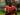 Fakta Unik! Pukulan Sadio Mane Lebih Mahal dari Joshua dan Floyd Mayweather