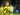 Felix Passlack Hadapi Masa Depan Tak Pasti Di Borussia Dortmund