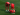 Gara-Gara Alphonso Davies Cedera ACL, FIFA Harus Nombok €7.5 Juta