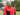 Gregg Berhalter Harap Amerika Serikat Lebih Sering Bertemu Tim Top