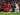 Hasil Pertandingan Premier League: Liverpool 0-0 Manchester United
