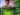 Houston Outlaws, Shock, dan Gladiators Menang di Kualifikasi June Joust