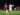 Ternyata Ini yang Membuat Persija Takluk Dari Perseru Badak Lampung FC