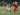 Irfan Jaya Percaya Bali United Tampil Baik di Bawah Komando Johnny Jansen