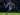 Jack Harrison Bertekad Tambah Gol dan Assist untuk Everton Musim Ini