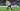 Jarrod Bowen Optimis West Ham Berkembang Bersama Nuno Espirito Santo