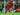 Jelang Final Liga Champions Asia, Harry Kewell Bawa Aura 'Istanbul'