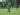 Jelang Semifinal Kontra PSIS, Pemain PSMS Diminta Tidak Tegang