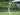 Jihad Ayoub Mulai Gabung Latihan PSS Sleman Setelah Sempat Dibekap Cedera
