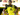 Keluarga Jobe Bellingham Terobos Ruang Ganti, Petinggi Dortmund: Masalah Telah Selesai!