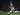 Kieran Gibbs Siap Sambut Kembalinya Nacer Chadli dan Oliver Burke