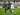 Kosta Rika Kalahkan Arab Saudi 3-1 di Kandang Newcastle United